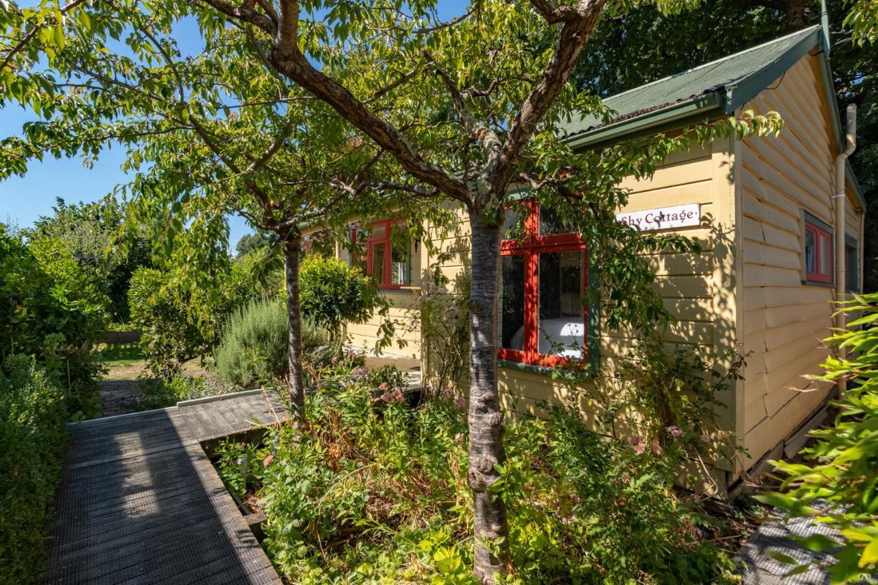 Shy Cottage And Studio Грейтаун Экстерьер фото