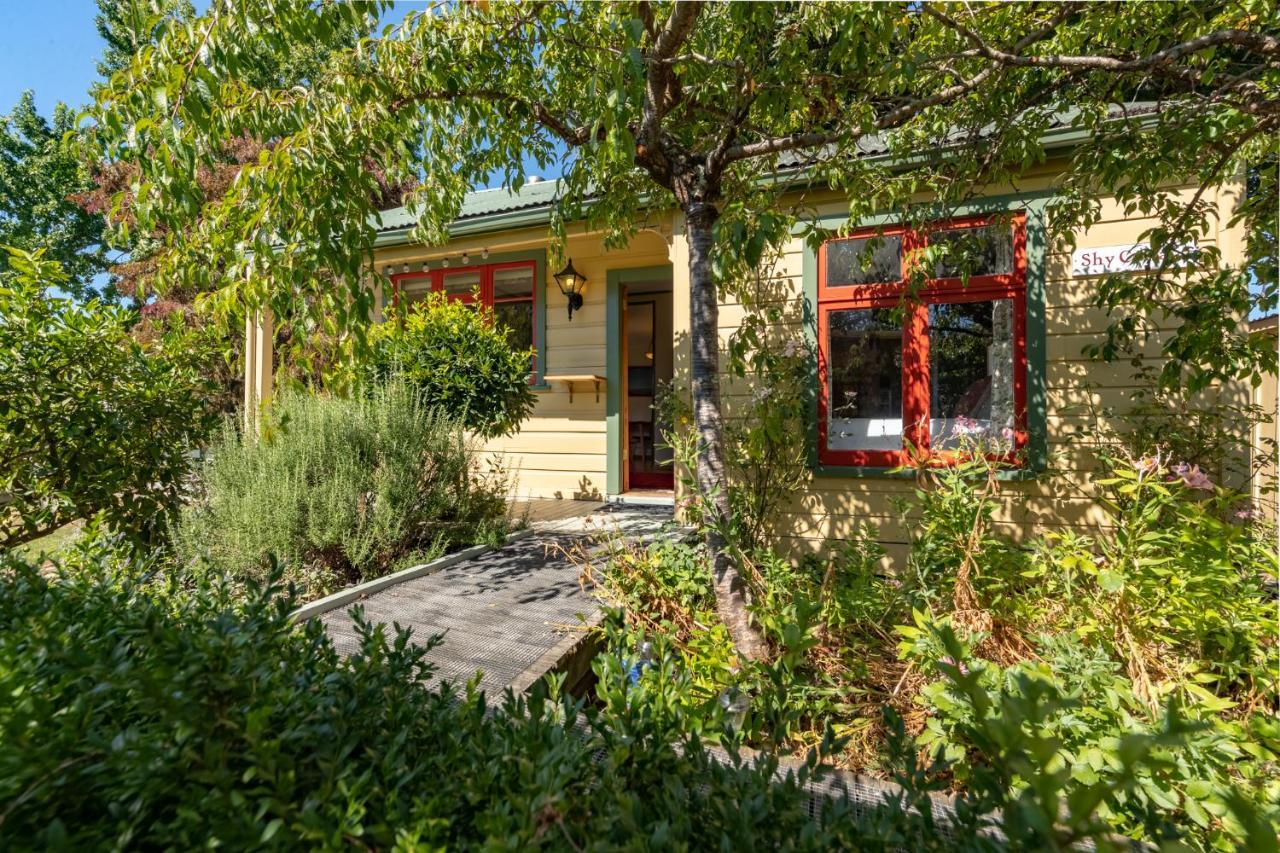 Shy Cottage And Studio Грейтаун Экстерьер фото